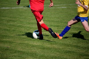 九游官网入口下载-中国足球俱乐部与国际知名足球学院合作，中国足球俱乐部和国家队